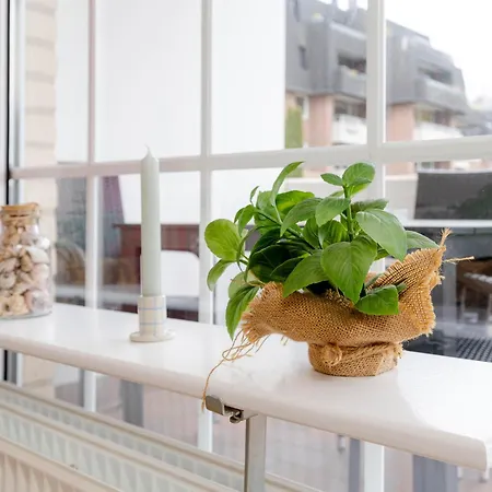 Koje Wassersleben Mit Balkon & Strandblick アパート